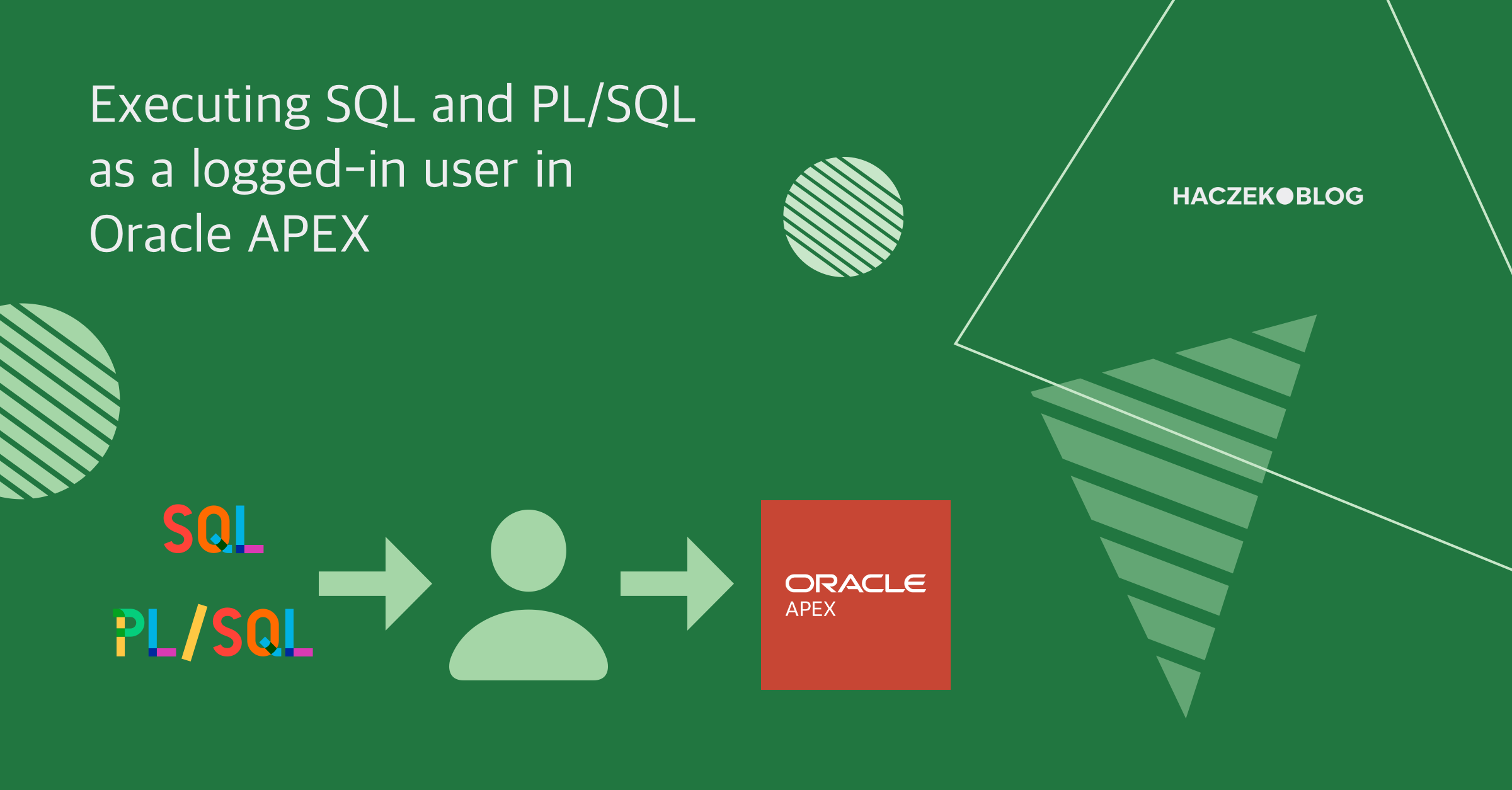 Executing SQL and PL/SQL as a logged-in user in Oracle APEX